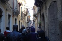 IMG 3575 web